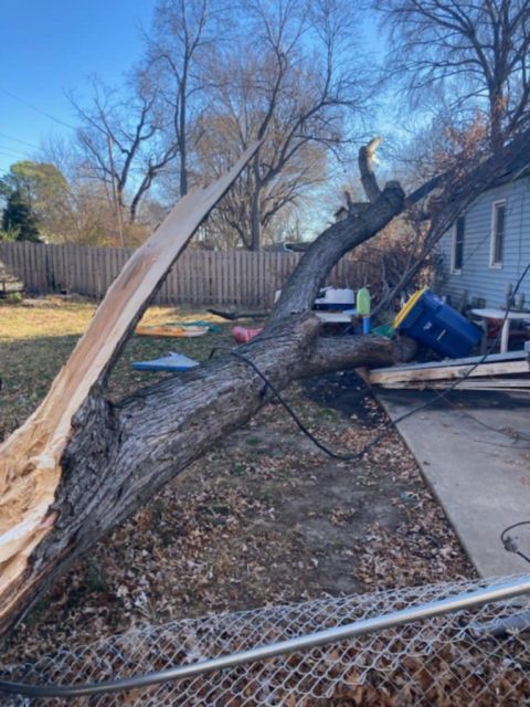 Image depicting the Service Emergency Tree Services